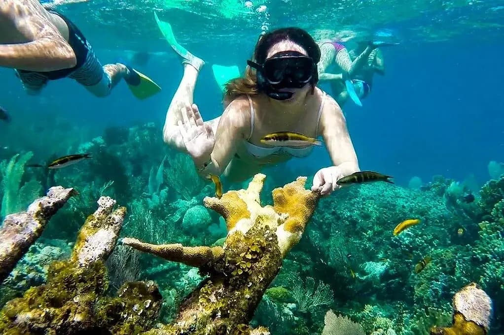 Woman diving down toward branching corals and reef fish with fellow snorkelers overhead