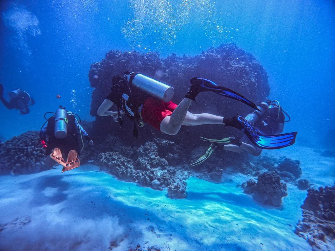 Scuba divers explore a coral reef