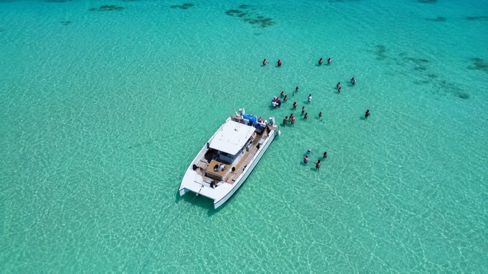 Top-down view of guests standing in the clear shallows behind a power catamaran off Saona Island