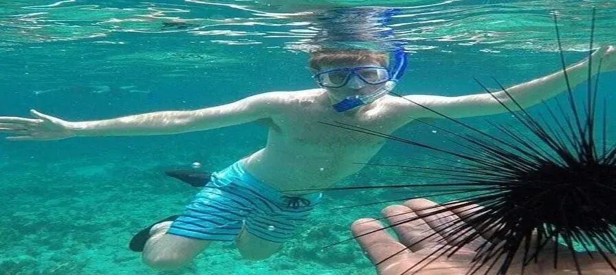 6. Go Snorkeling or Scuba Diving at Negril Marine Park