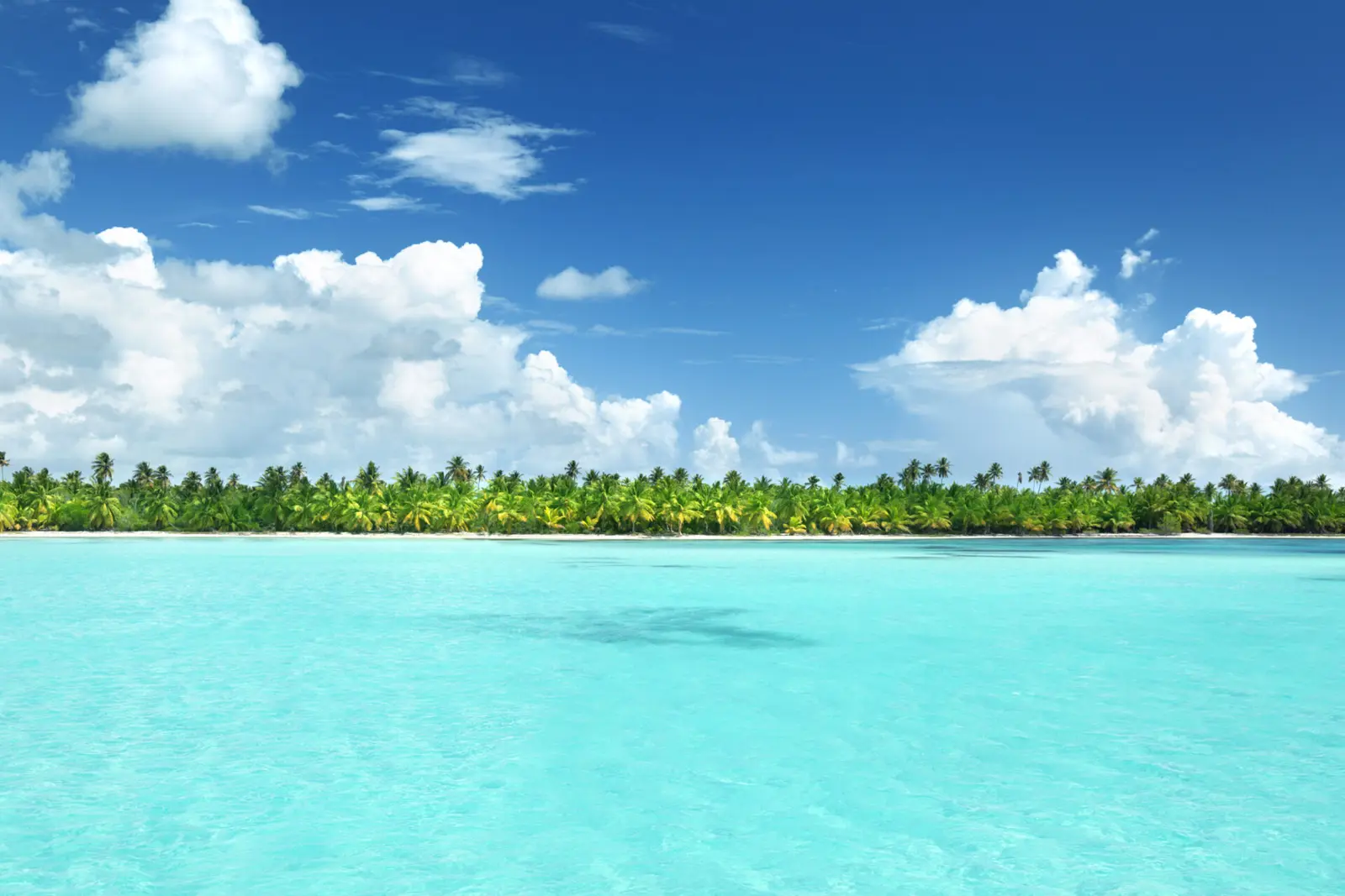 Clear turquoise water stretching to a palm-lined Punta Cana shore under puffy white clouds
