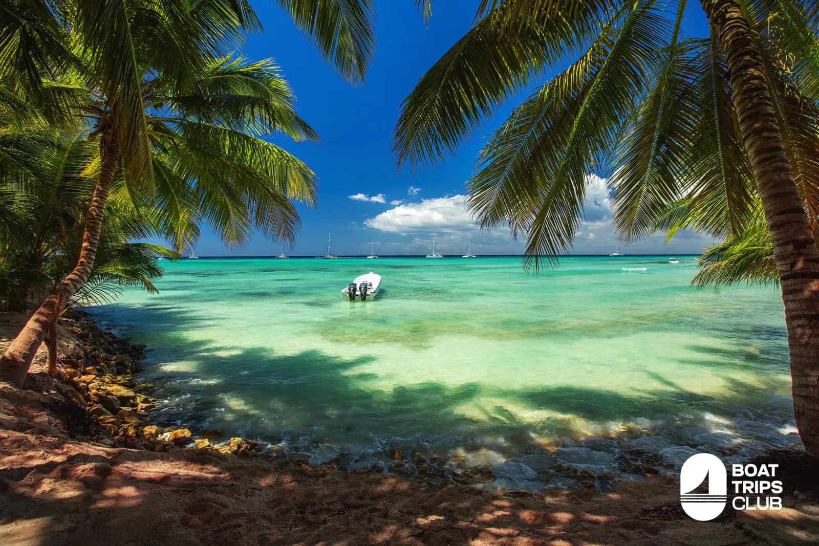 Palm fronds framing a turquoise lagoon with a small motorboat anchored off Saona Island
