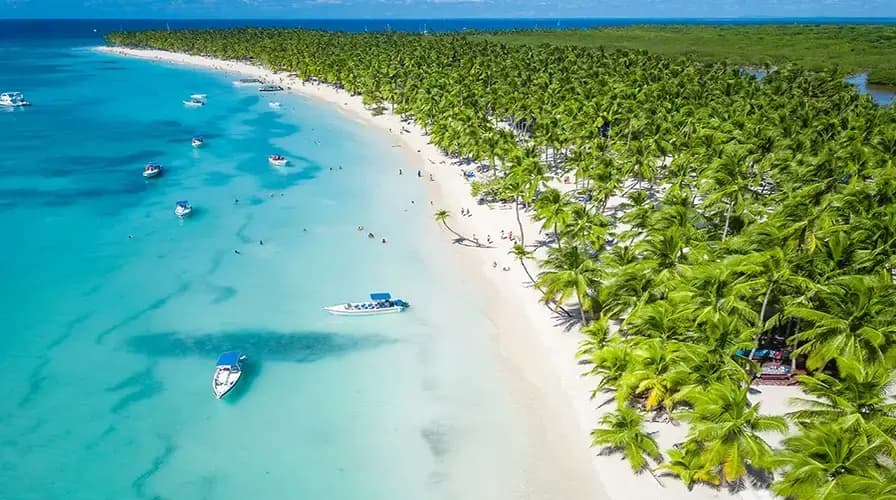 Saona Island Day Trip: Caribbean Paradise Escape