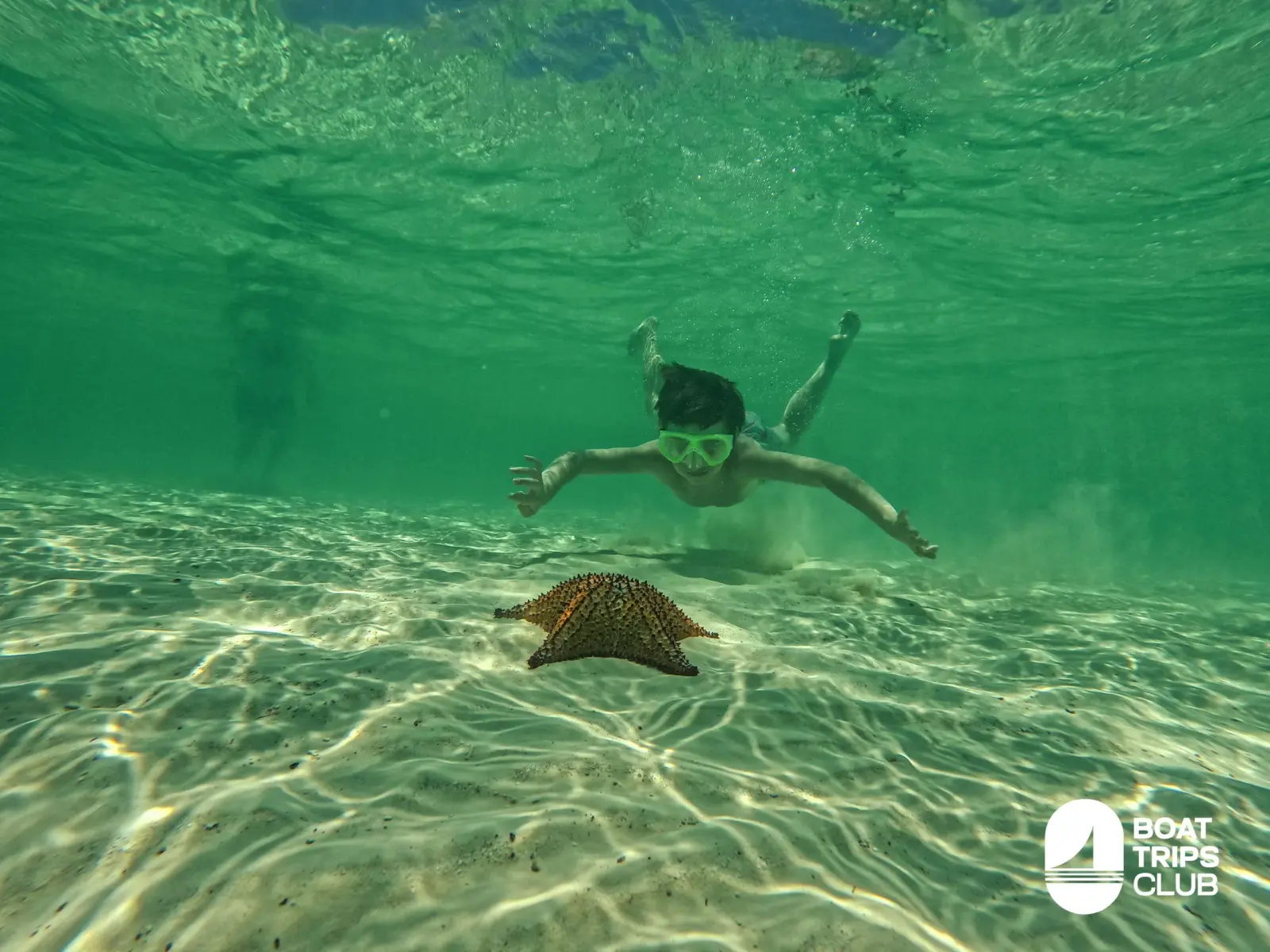 Snorkeler in a mask diving down toward a starfish on the sandy seabed