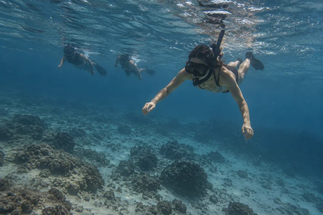 Snorkelers swimming over a rocky reef in the clear, deep blue waters of Cozumel, Mexico.