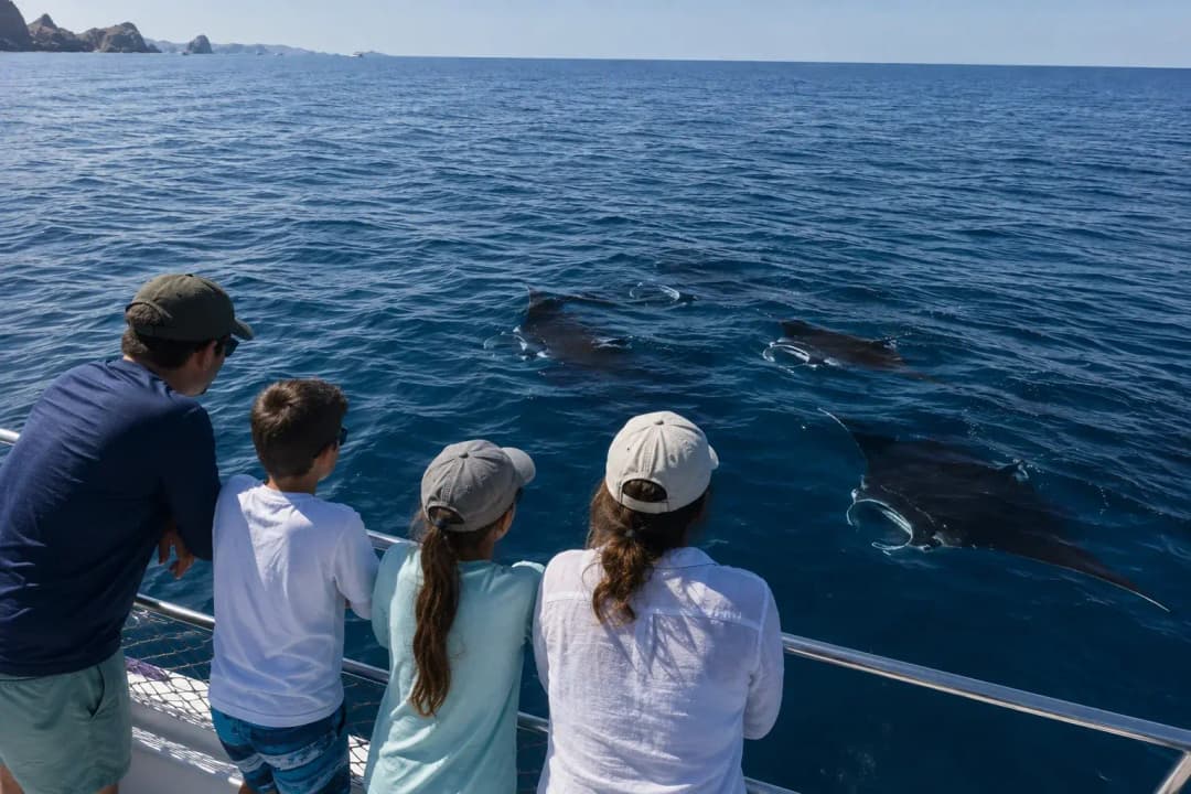 Family watching manta rays from a boat during a Cabo Itinerary adventure.