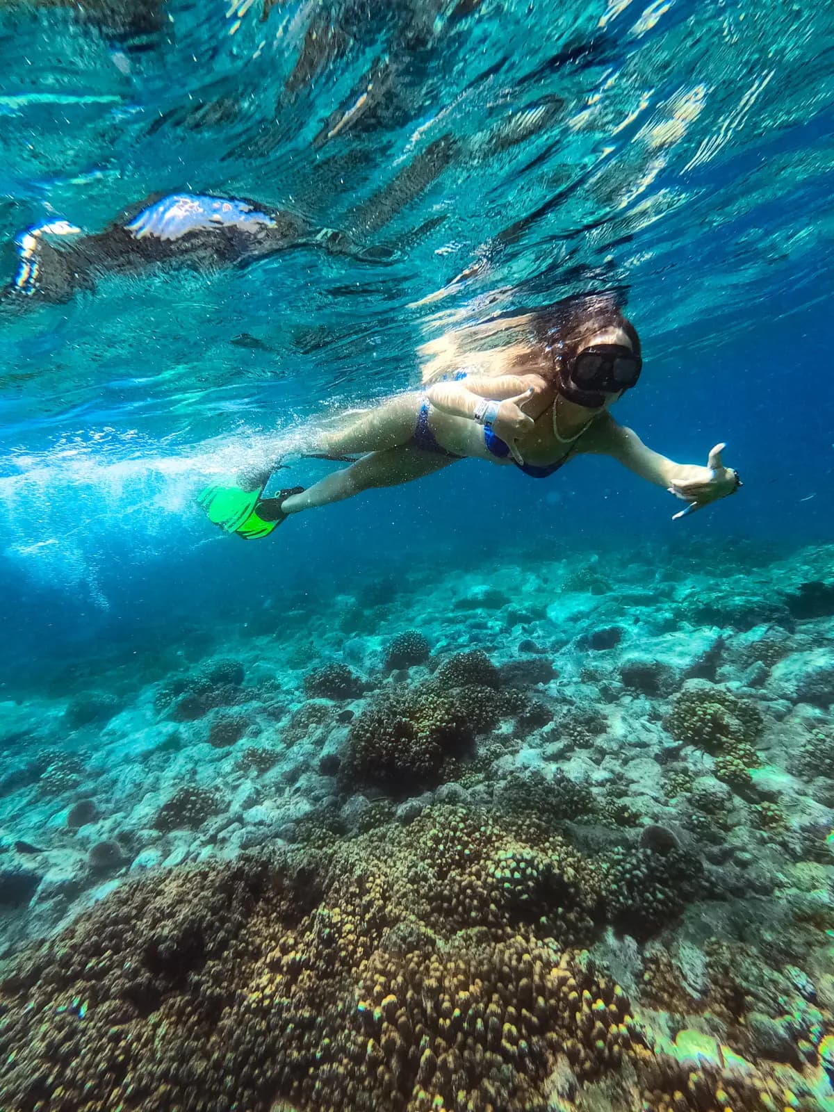 Snorkeler in a mask dives toward the coral reef as another swims at the surface