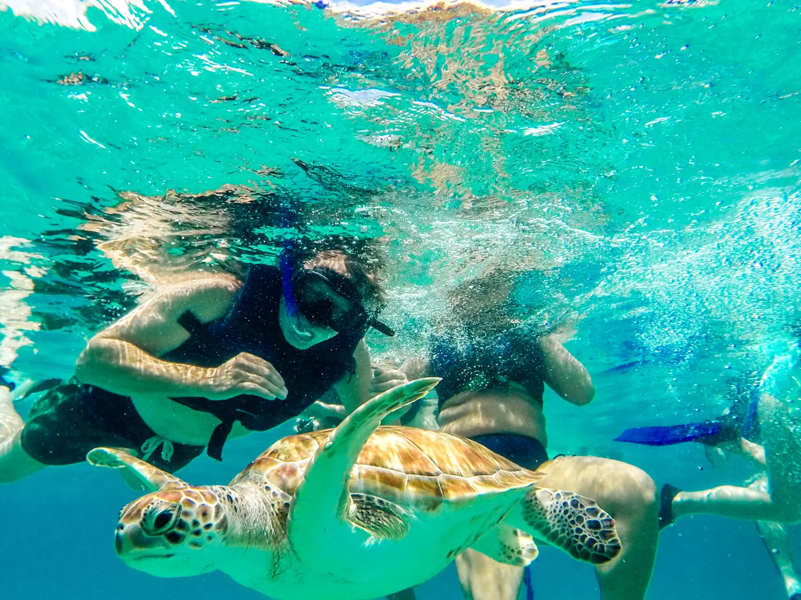 Snorkeler in a mask swimming alongside a sea turtle in clear turquoise water