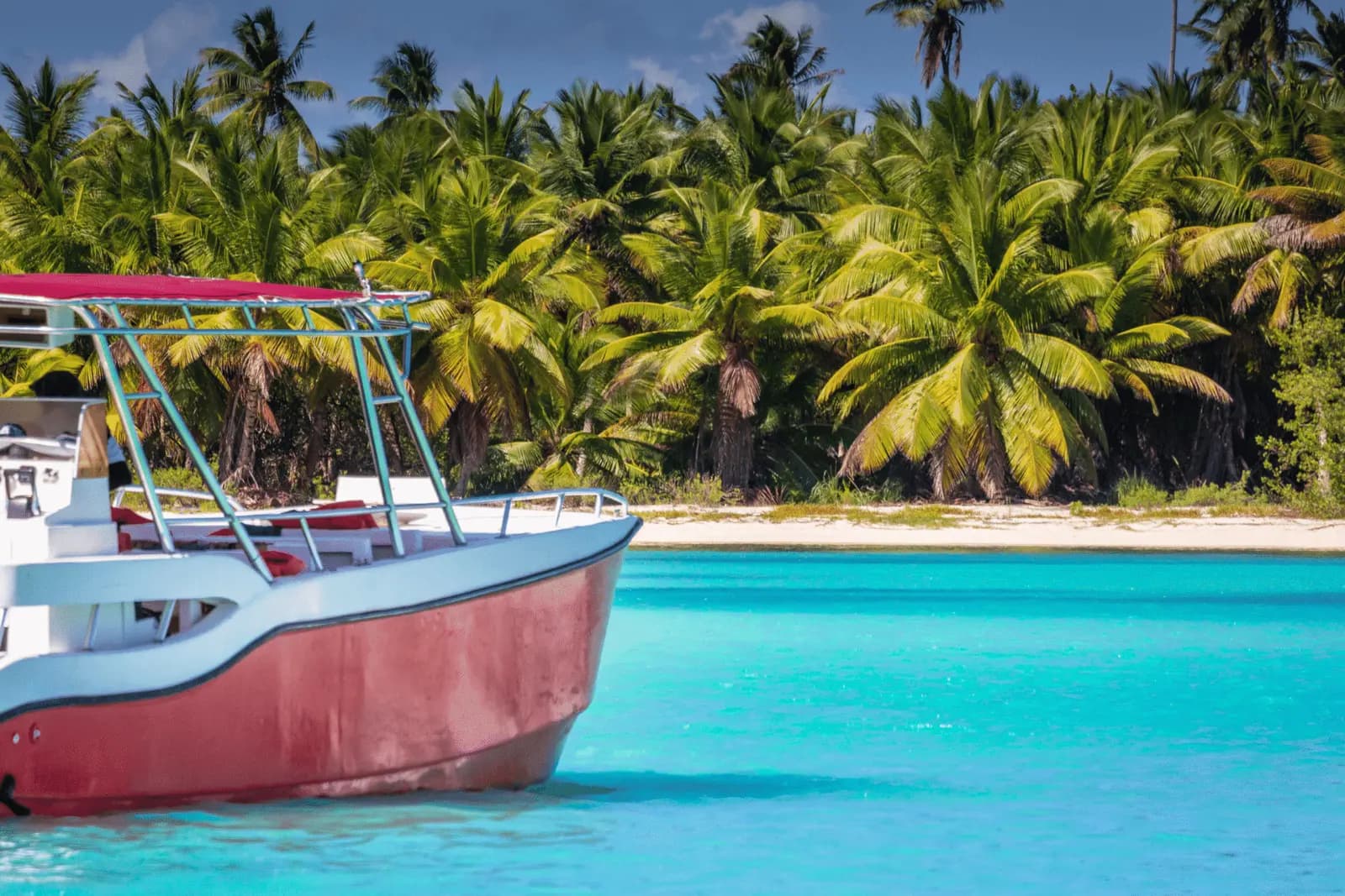 Red-hulled motorboat moored in turquoise water off a dense palm-lined beach on Catalina Island