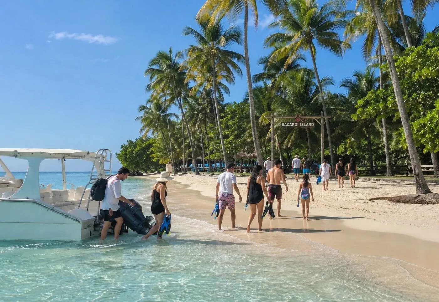 Guests stepping off the motor catamaran onto a palm-lined Cayo Levantado beach