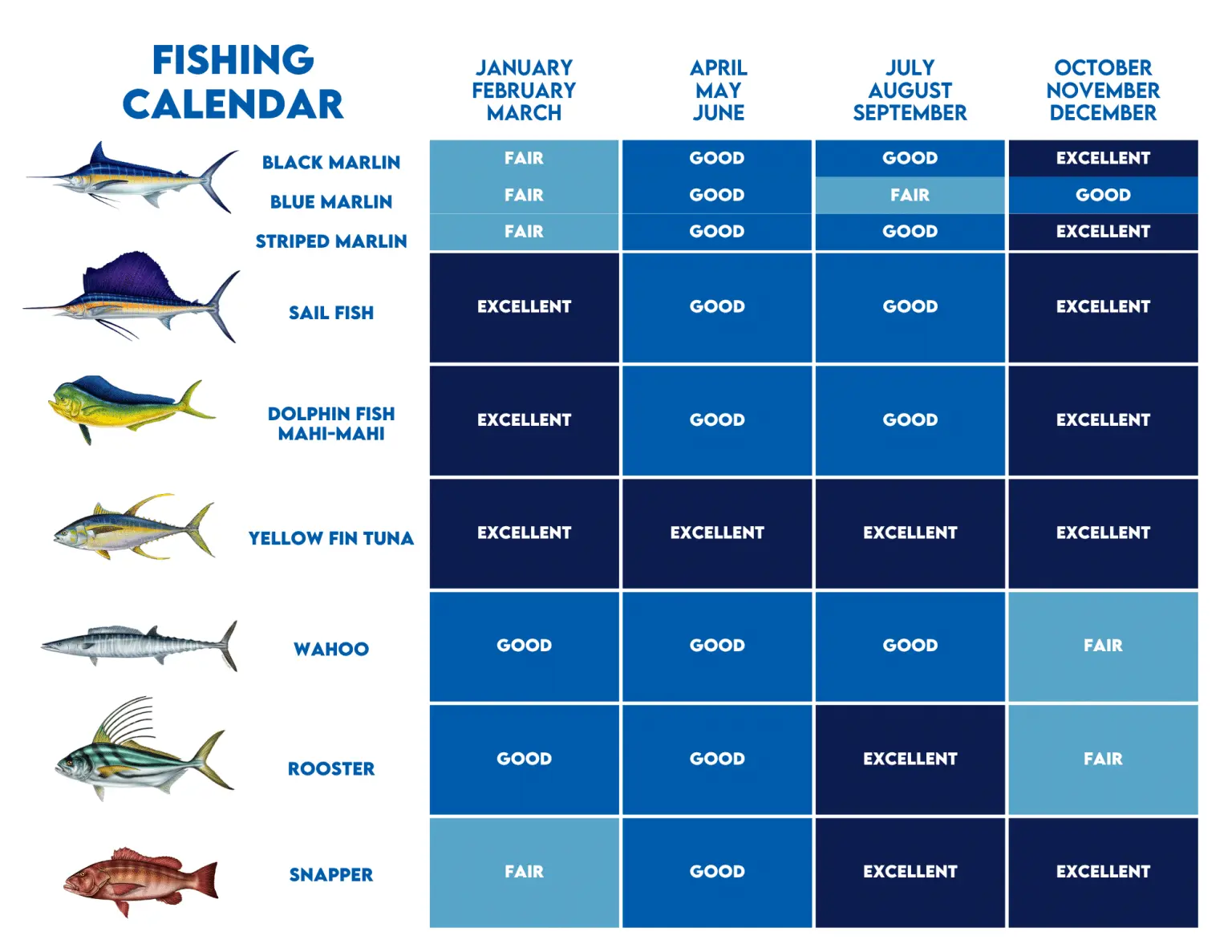 Seasonal chart of fishing conditions by quarter for species from marlin and tuna to wahoo and snapper