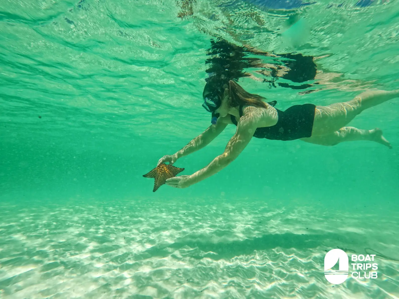 Woman swimming underwater over rippled white sand with an orange starfish in hand