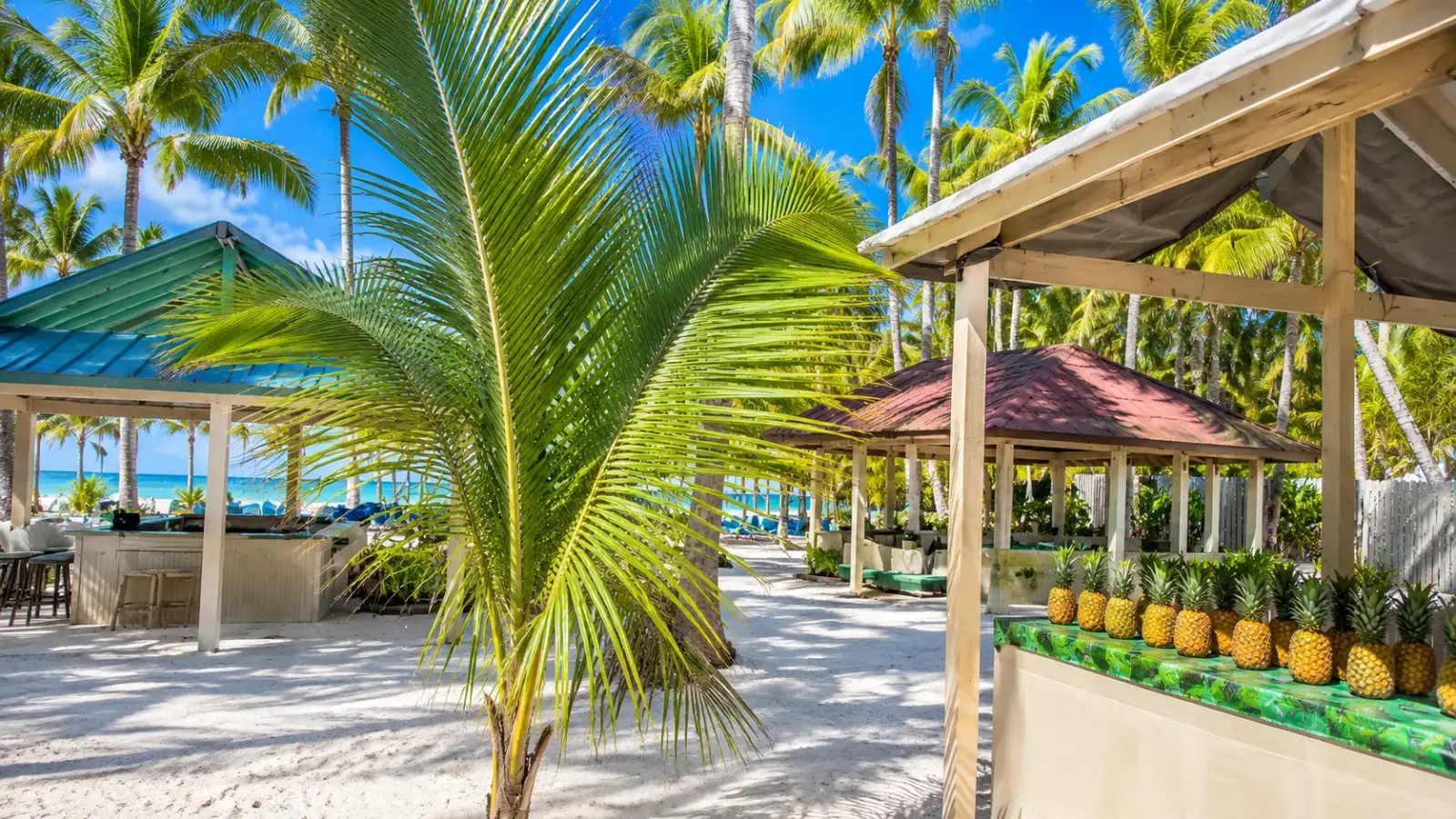 Palm-shaded beach pavilions and a bar lined with pineapples on the white sand of Saona Island