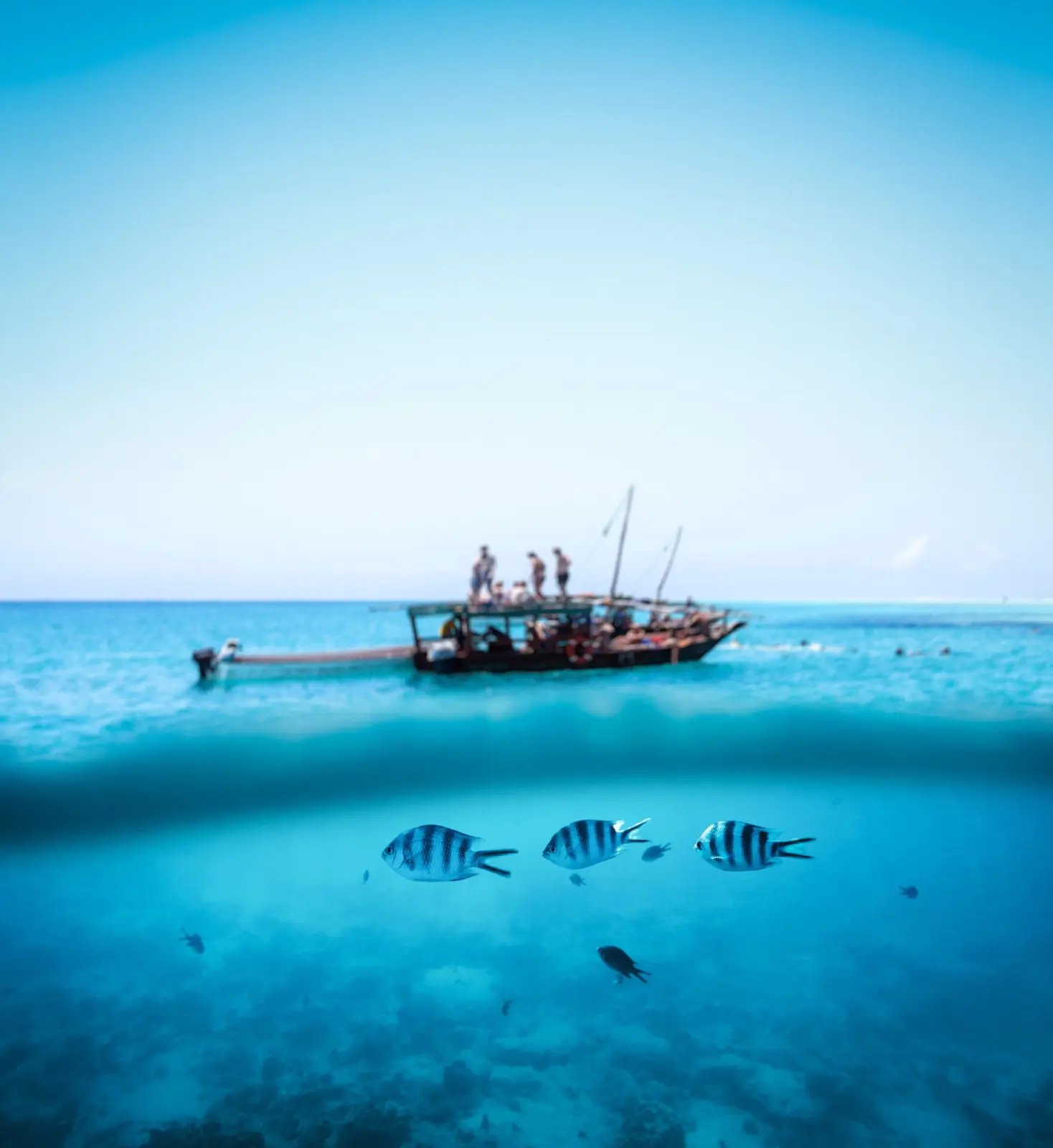 Over-under view of a wooden dhow on calm water above striped fish in clear blue sea