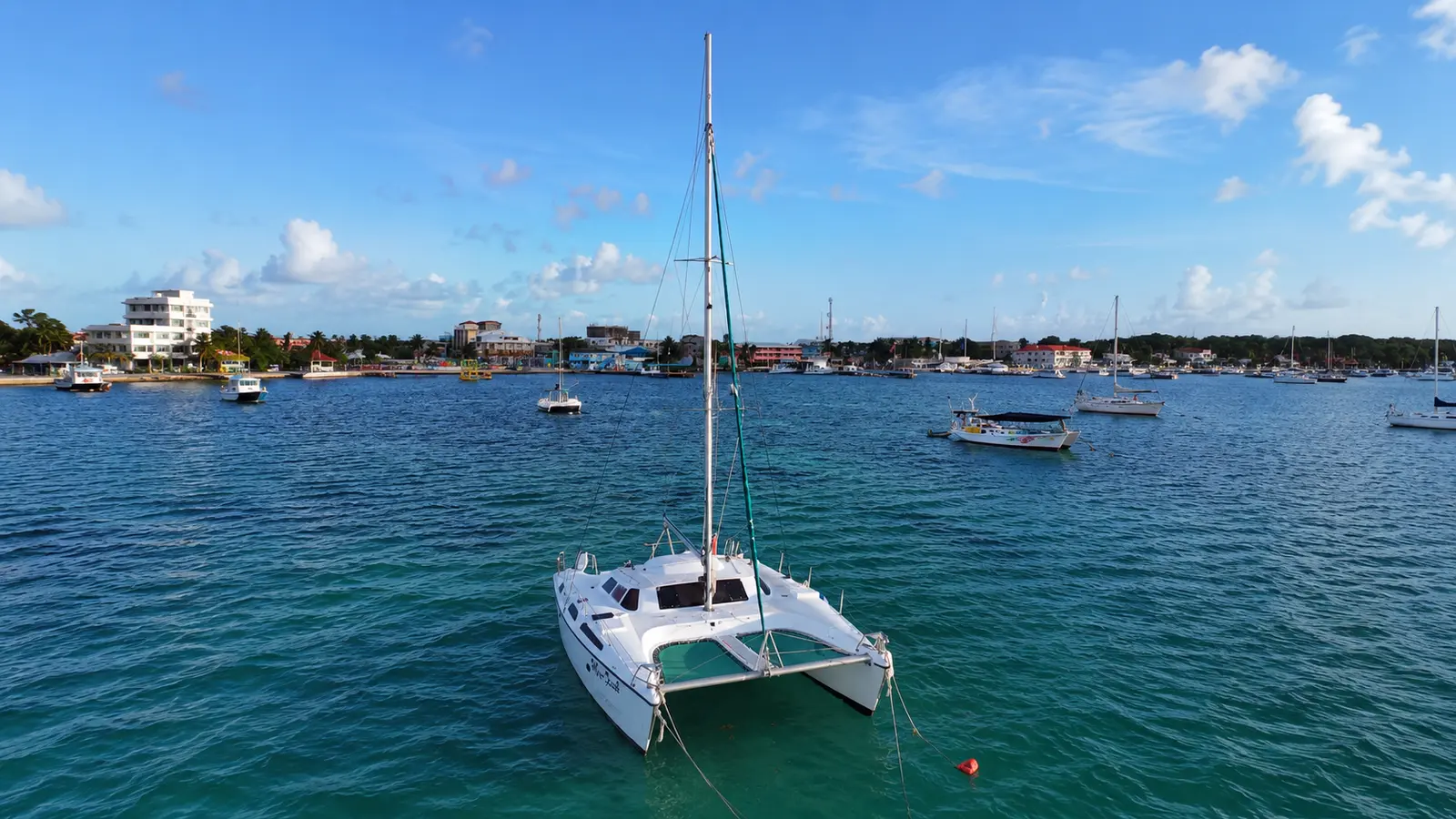 Sailing catamaran moored off the San Pedro waterfront among other anchored boats