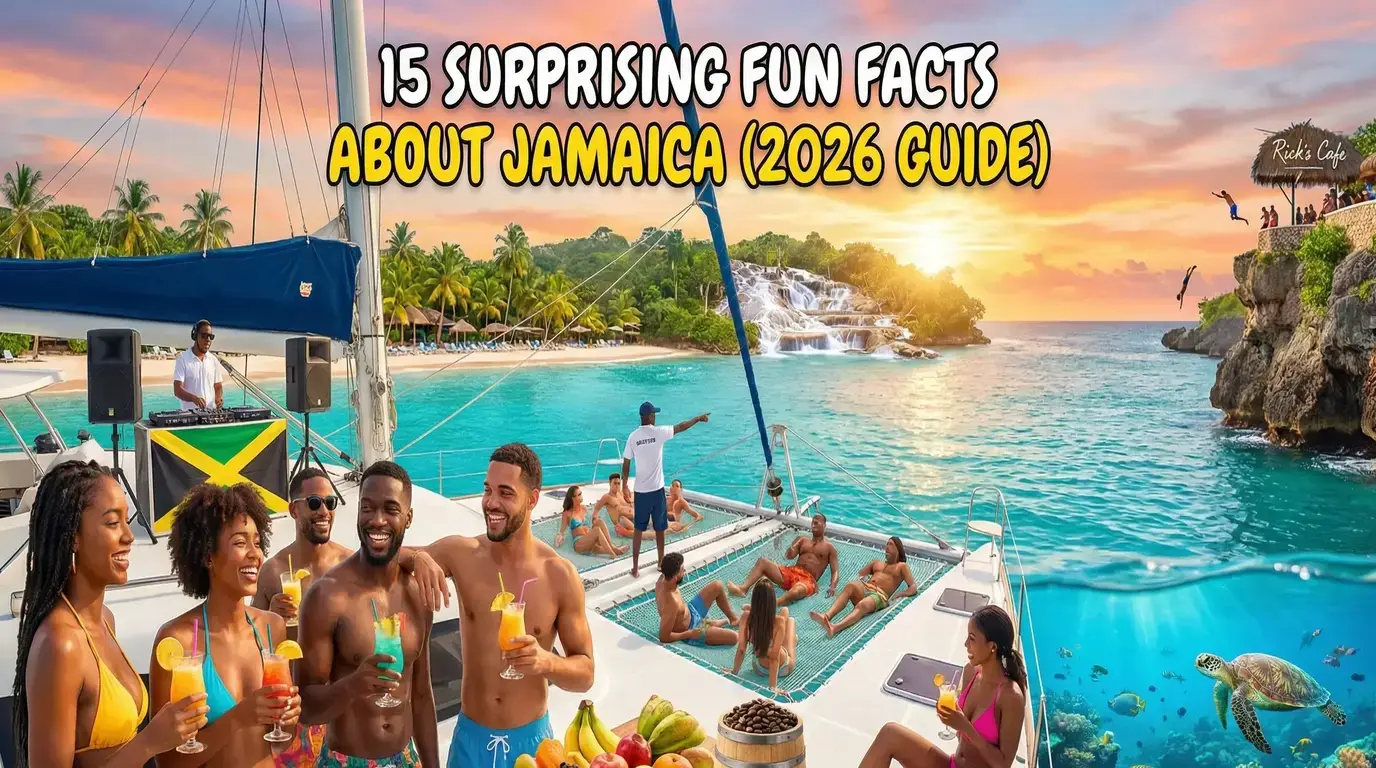 Guests sip cocktails on a catamaran with a DJ off Jamaica, near a waterfall, cliff divers and a sea turtle