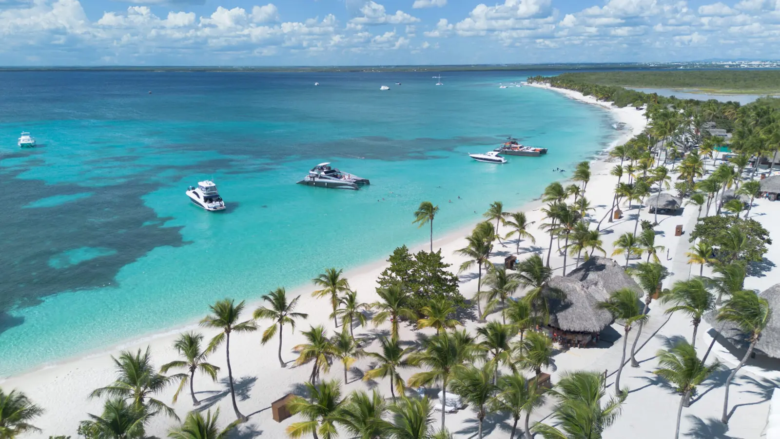 Aerial view of boats anchored off a palm-lined white-sand beach with thatched huts near Punta Cana