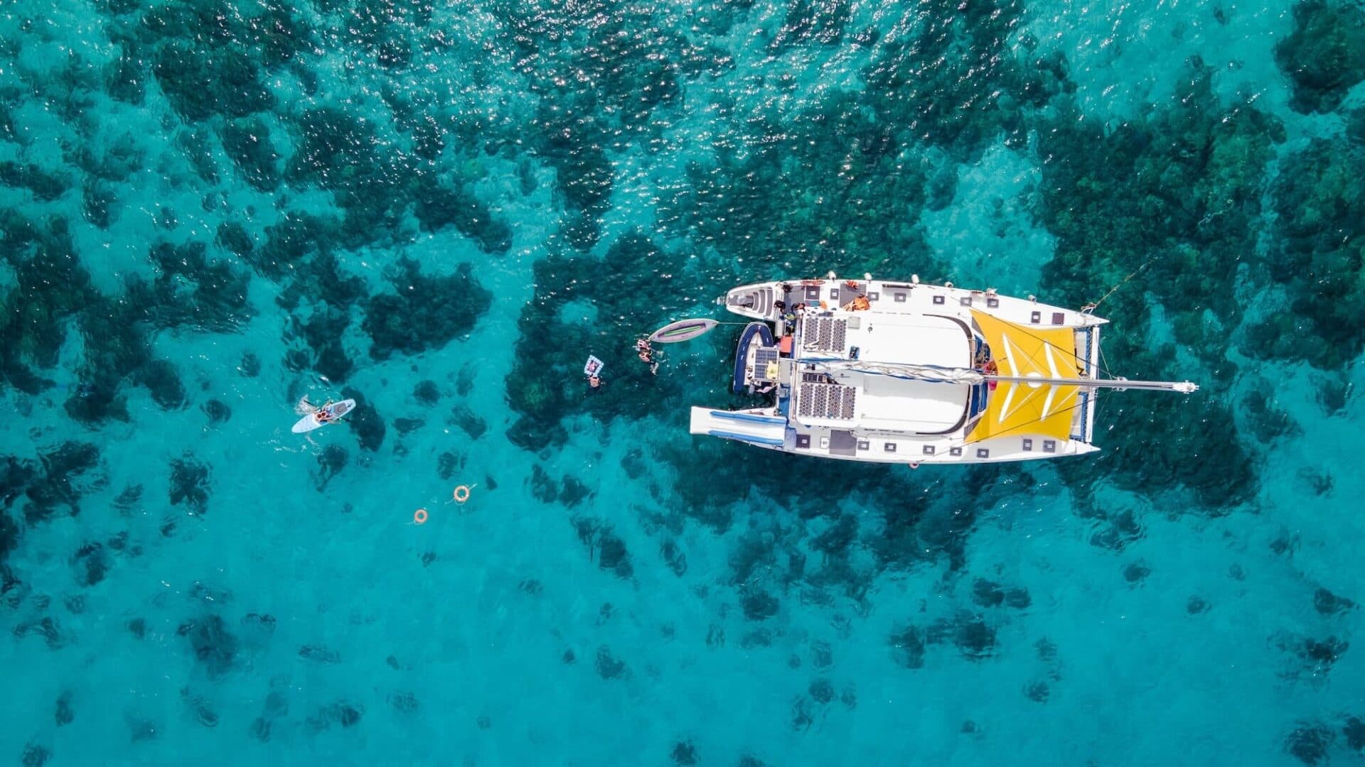 Boat Trips in the world's best destination