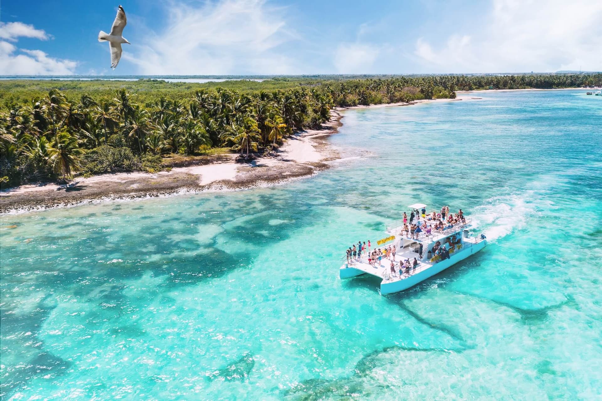 Boat Trips Club catamaran experience
