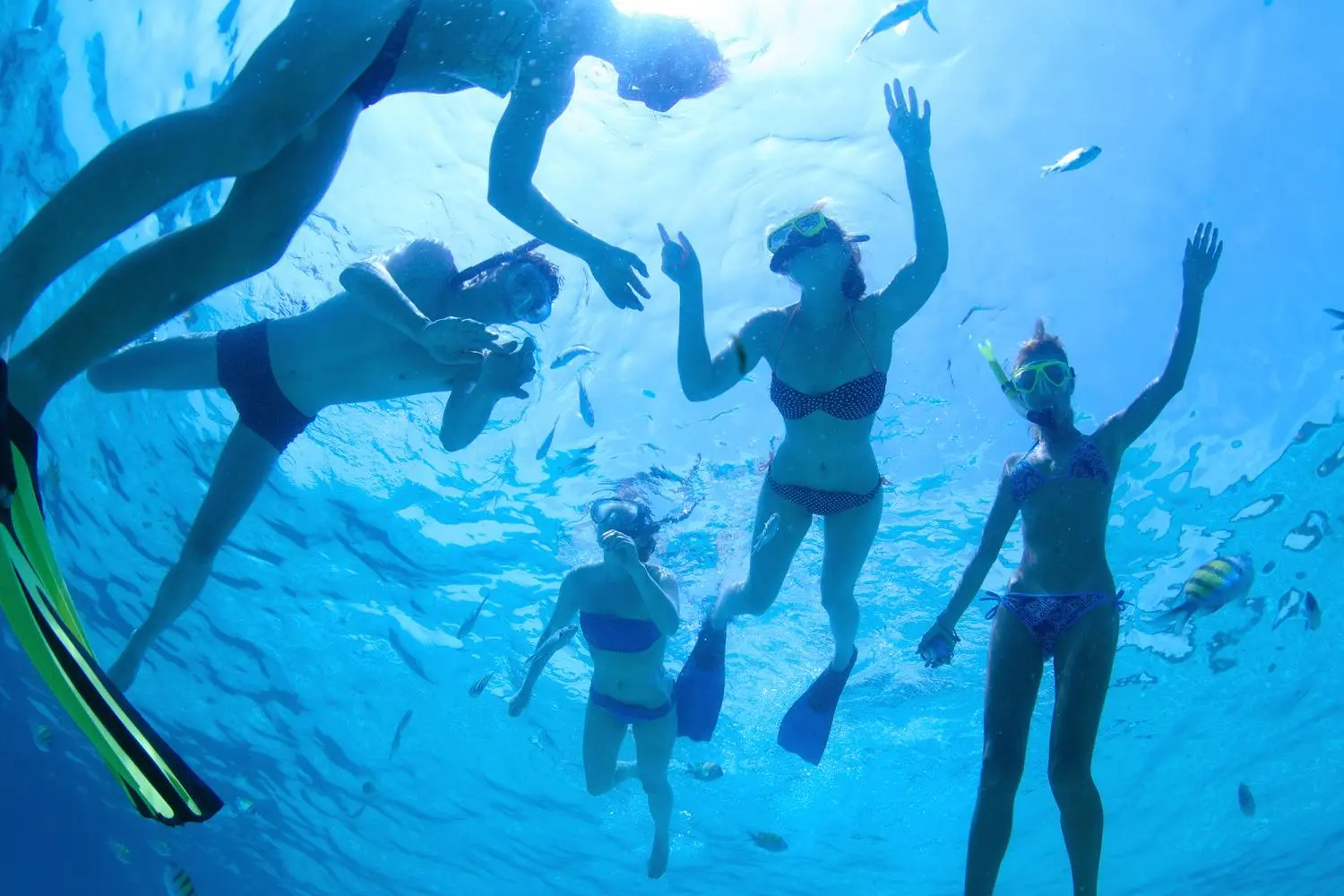 Snorkeling & Coastal Stop