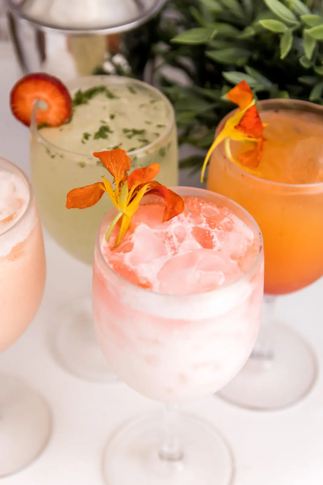 Gourmet Snacks & Open Bar Experience