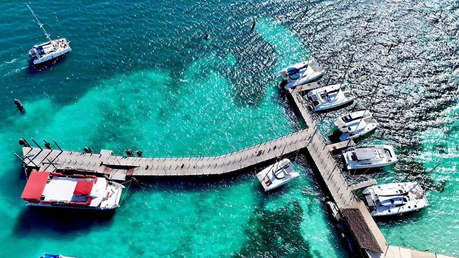 Playa Tortugas (Start) - Meet at the marina and board your catamaran to begin your journey to Isla Mujeres.