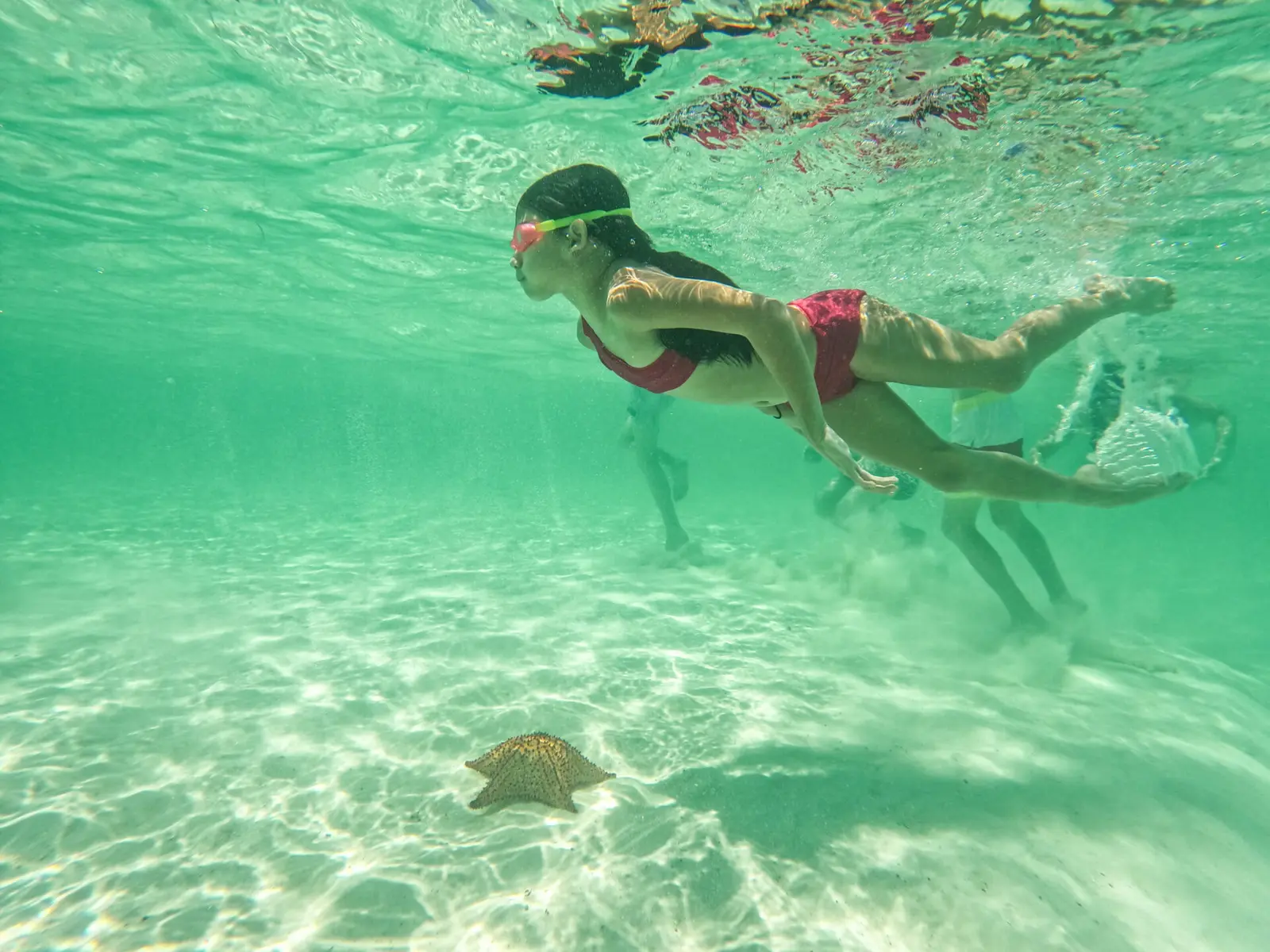 Palmilla Natural Pool Swim in shallow waters and see starfish