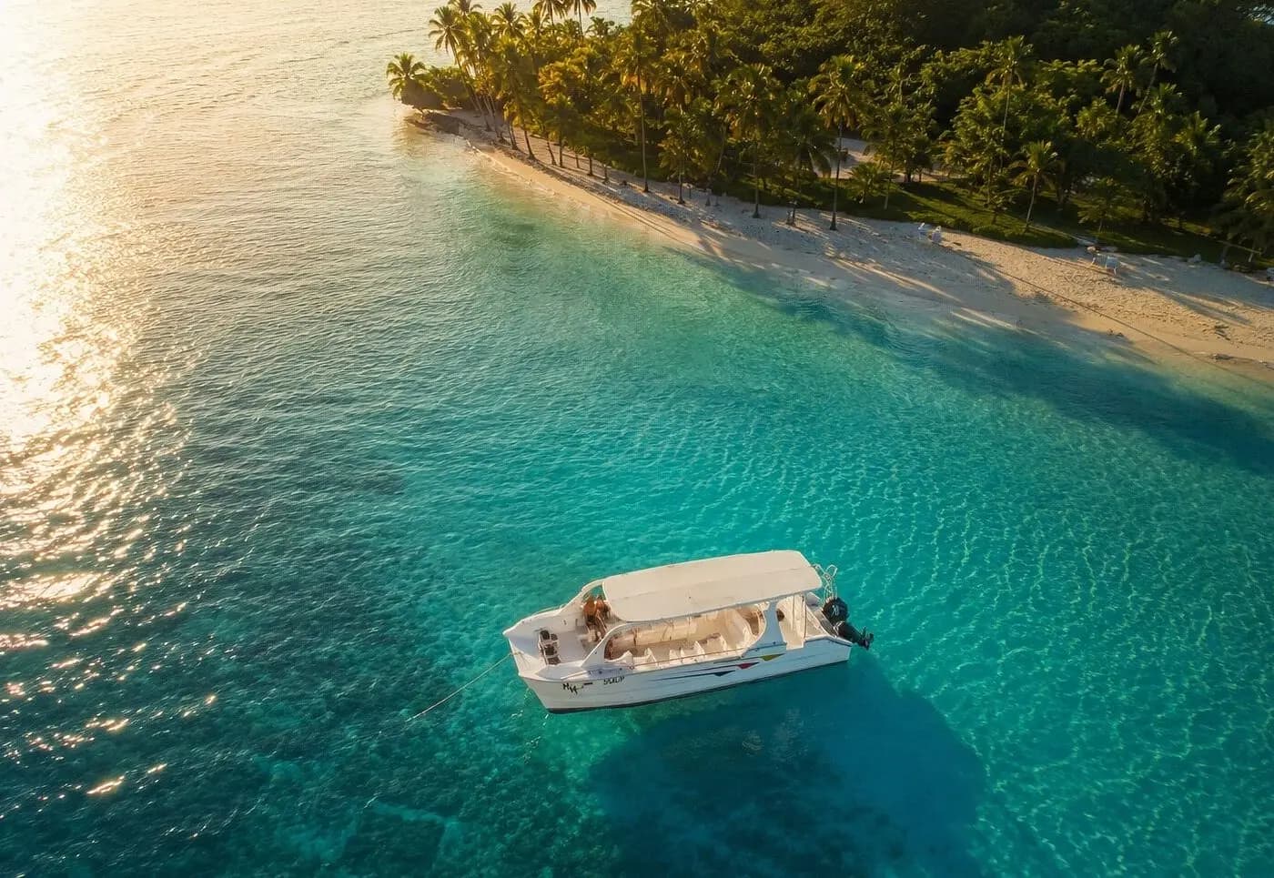 9:00 AM — Cast off, Bay of Samaná Cross the bay toward Cayo Levantado. Around 45 minutes of open water. From 15 Jan to 31 Mar, humpback whale sightings are highly likely.
