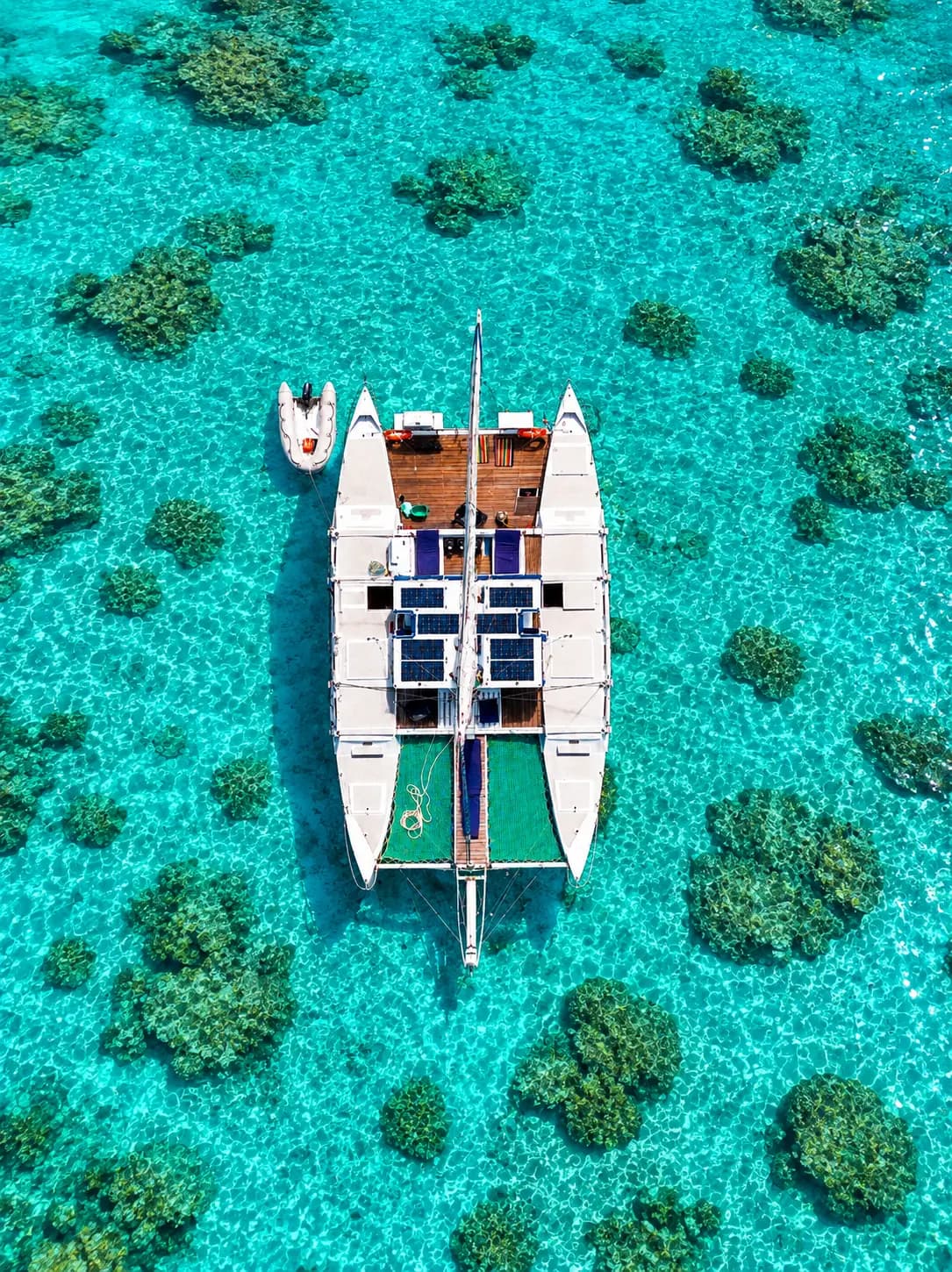 Cruise to Mnemba Atoll Look for wild dolphins along the way to Zanzibar's most famous marine reserve