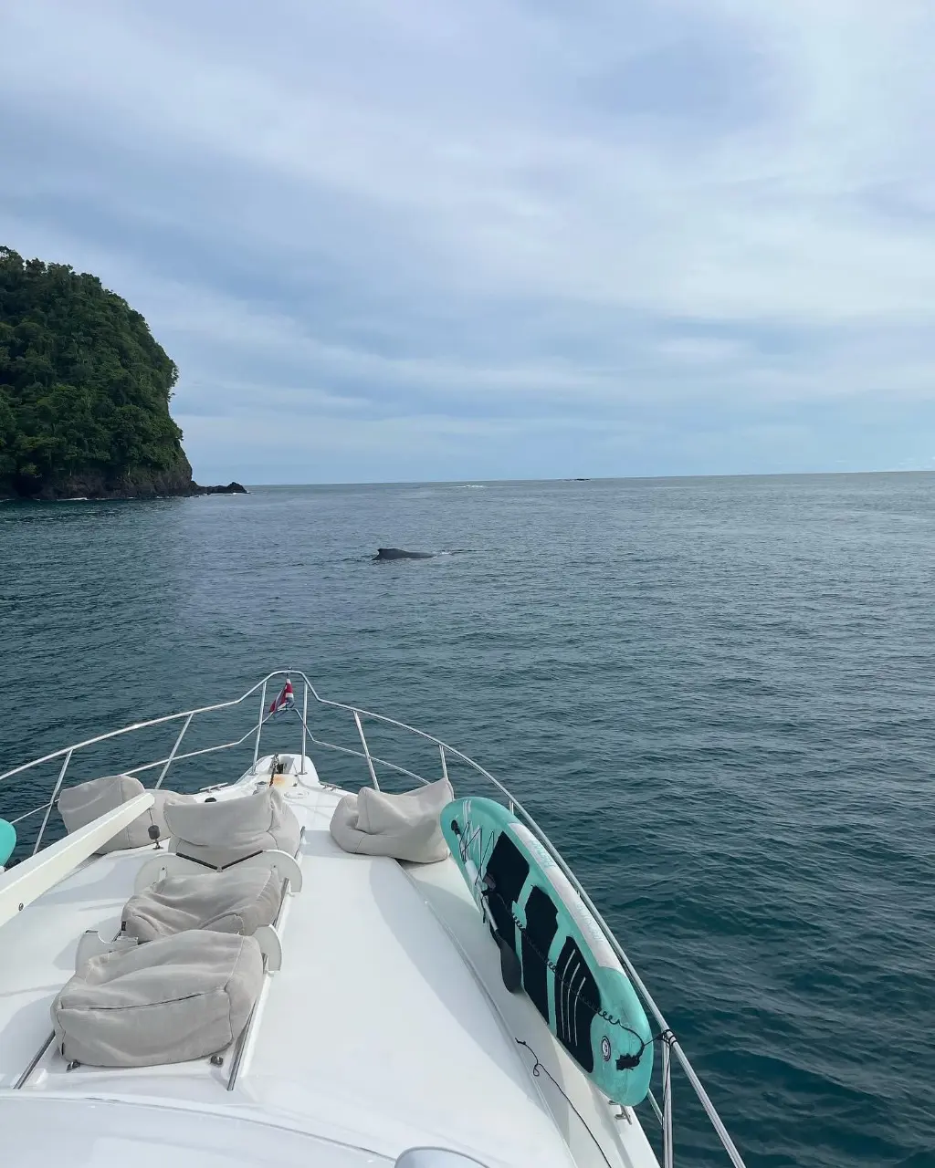 Hidden Cove & Toy Hour Dinghy to an empty beach, snorkel the rocks, tube runs for the brave.