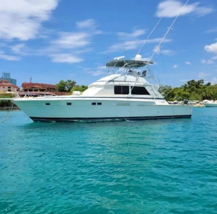 Beach check-in (Playa Sosua) Meet your captain, quick briefing, and setup