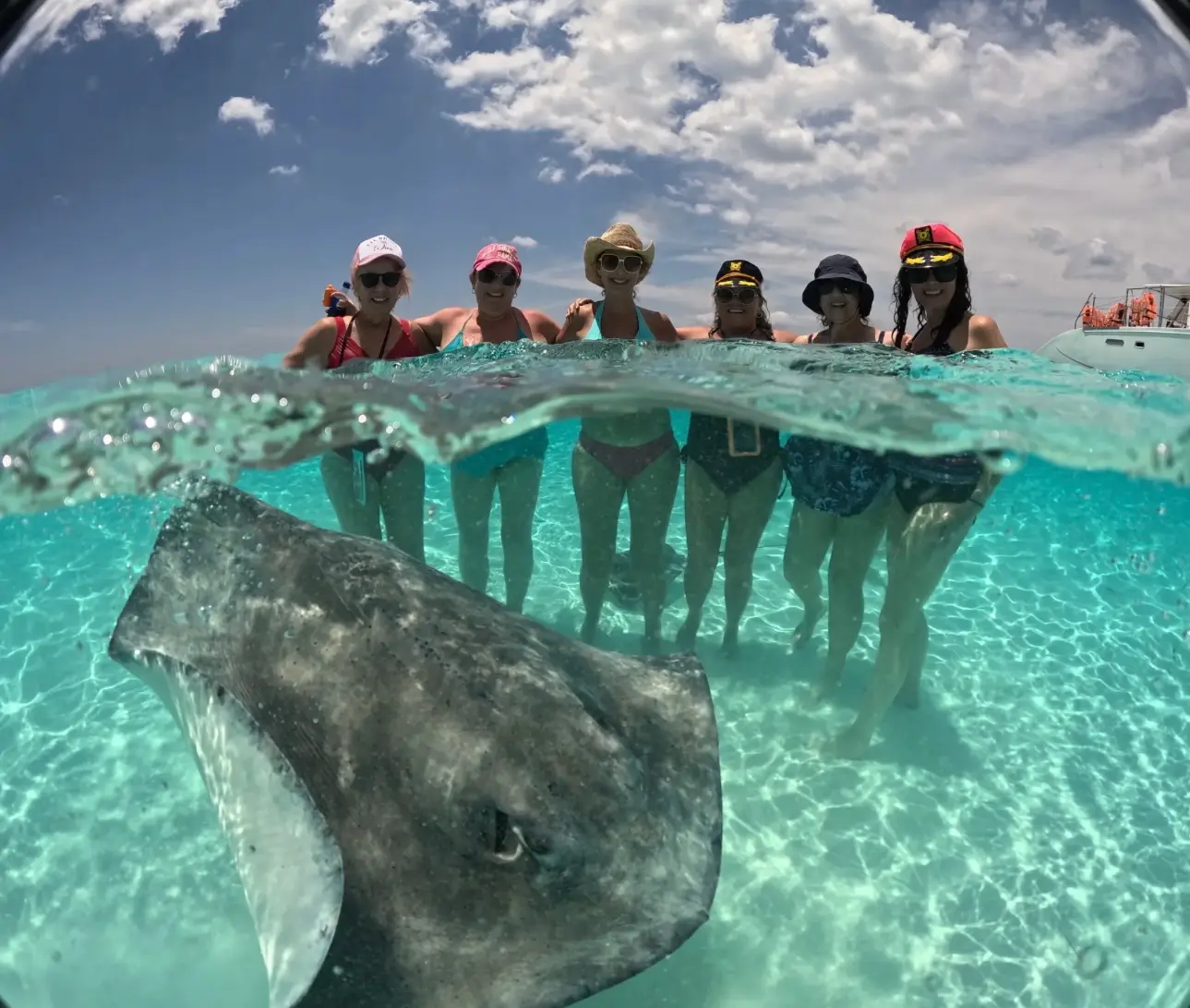 El Cielito stingrays Stand in calm waters as stingrays pass by