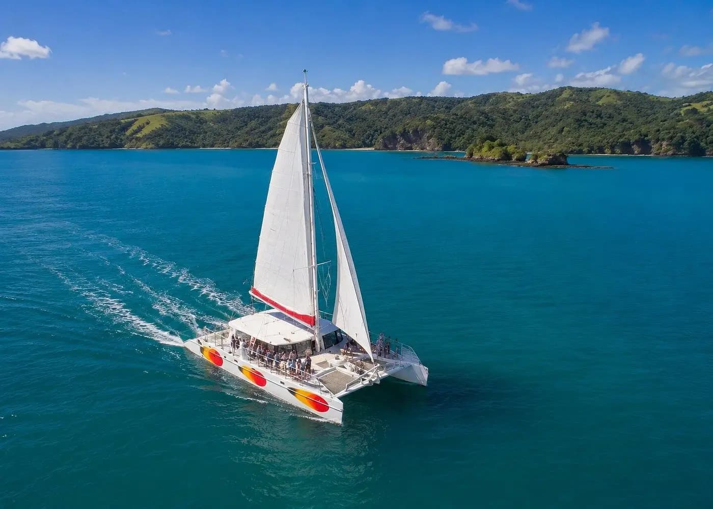 Cast off, Sails Up Across the Bay Engine quiet, sails up. Cross the bay toward Cayo Levantado — around 45–60 minutes under sail. From 15 Jan to 31 Mar, humpback whale sightings are highly likely.