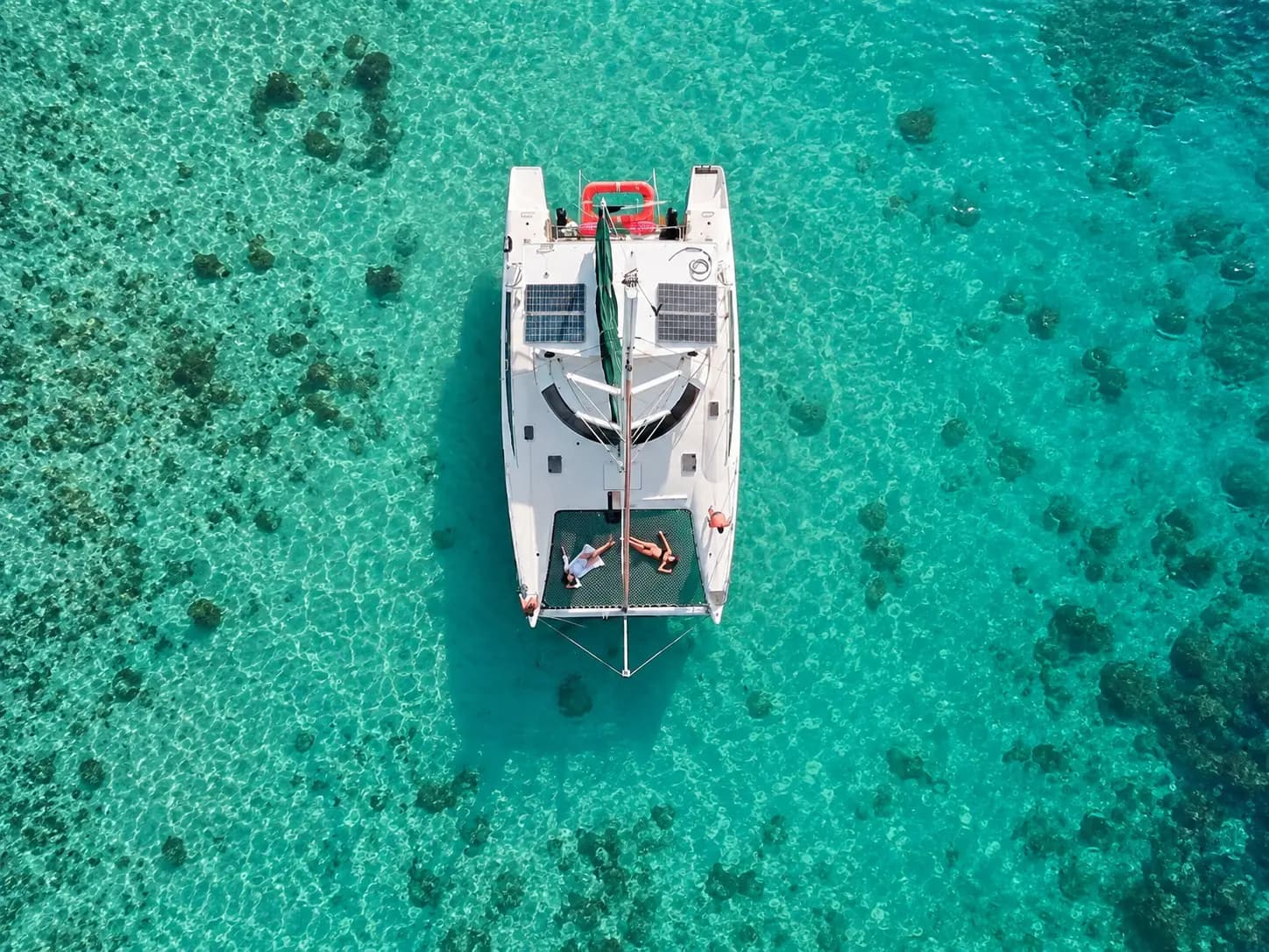 Arrive at Starfish Beach (Playa Estrella) for the golden cushion sea stars, then lunch on deck — carbonara, fresh fish, or vegetarian.