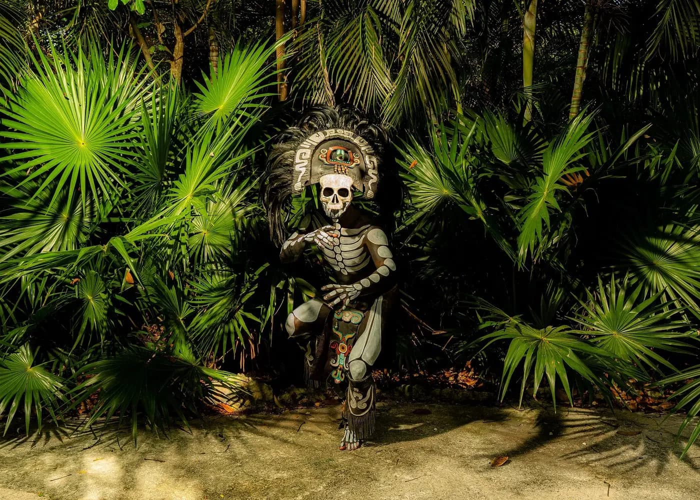 Jungle path walk Short walk through jungle environment