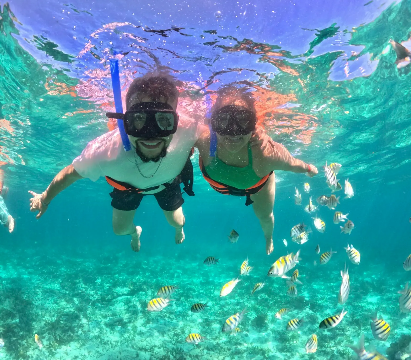Snorkeling at Pelican Rock