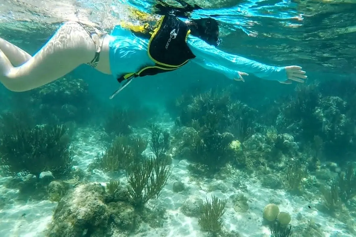San Rafaelito - Snorkel around the local islet with playful sea lions in clear turquoise water