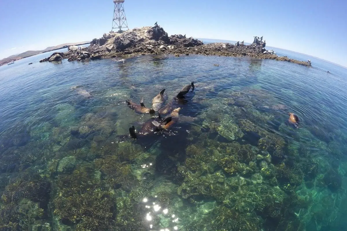 Balandra Bay & El Hongo (Mushroom Rock) - Anchor at one of Mexico's most beautiful beaches, swim in calm shallows