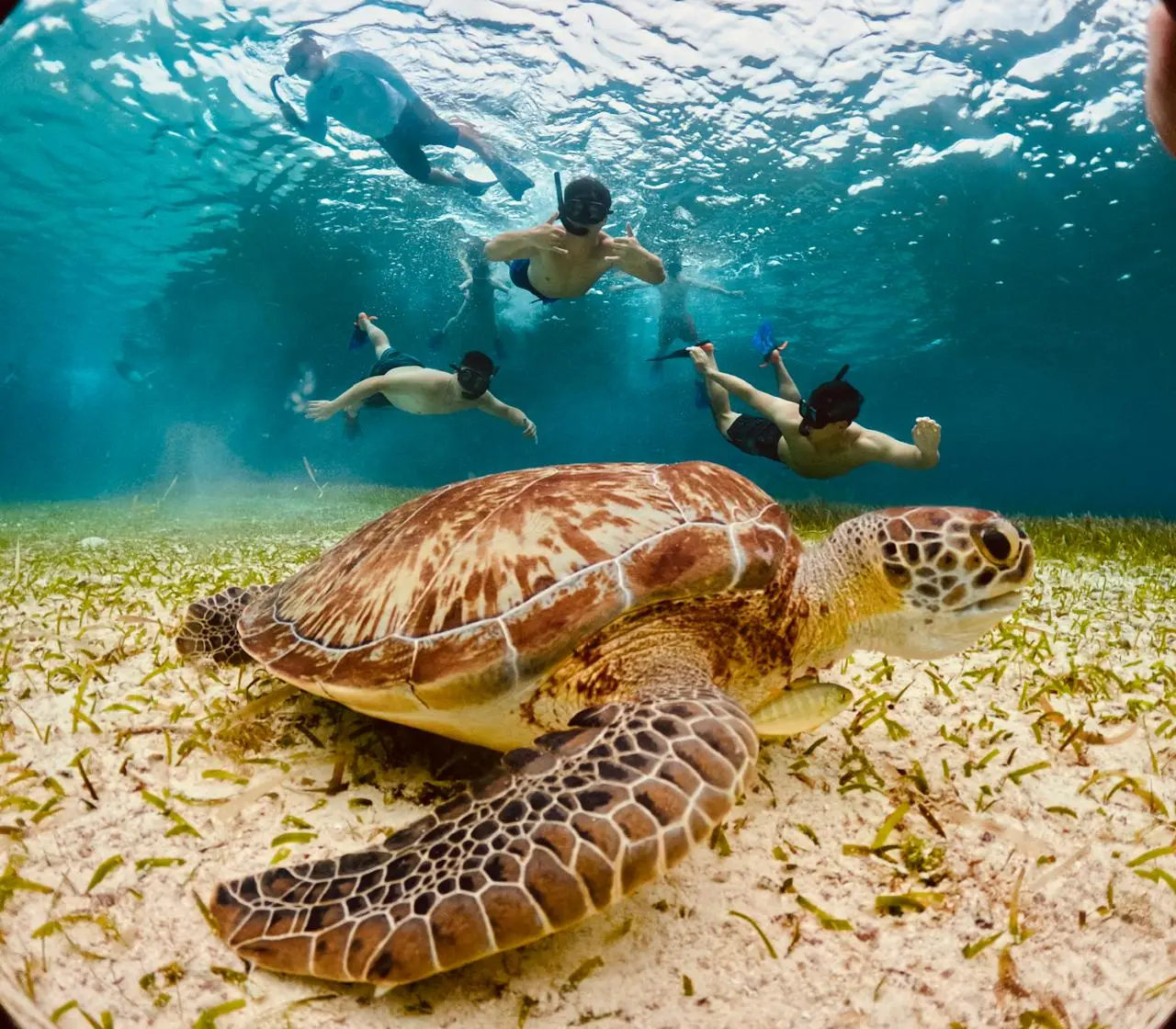 Colombia Reef First snorkeling stop with tropical fish and coral