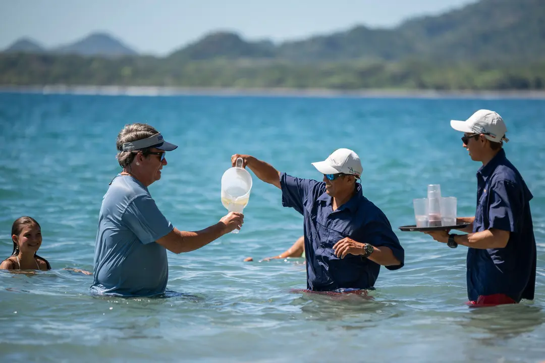 Isla Tortuga White sand, turquoise water: snorkel, hike the eco trail, then lunch at the buffet with your feet in the sand.