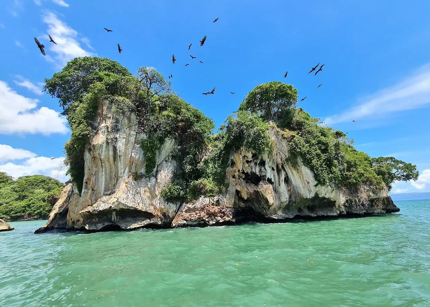 Cayo de los Pájaros & Mangroves Slow pass at the bird sanctuary, glide into San Lorenzo Bay mangrove channels