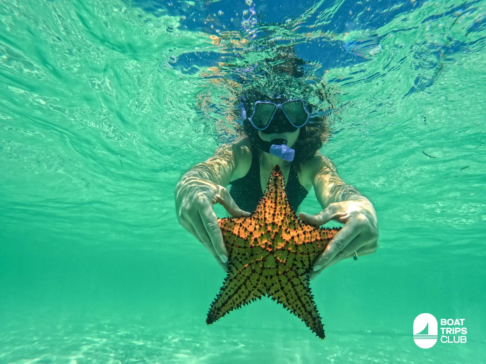 Palmilla Natural Pool + Starfish Cay Waist-deep crystal-clear water miles from shore, snorkel to see giant starfish, drinks in hand