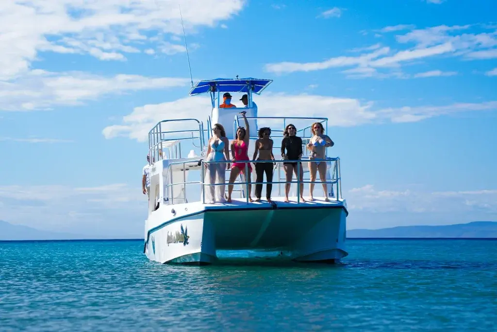 Panoramic Sail Along the South Coast Cruise past Playa San Andrés and the wind-carved cliffs shaped like a crocodile, fish, and turtle