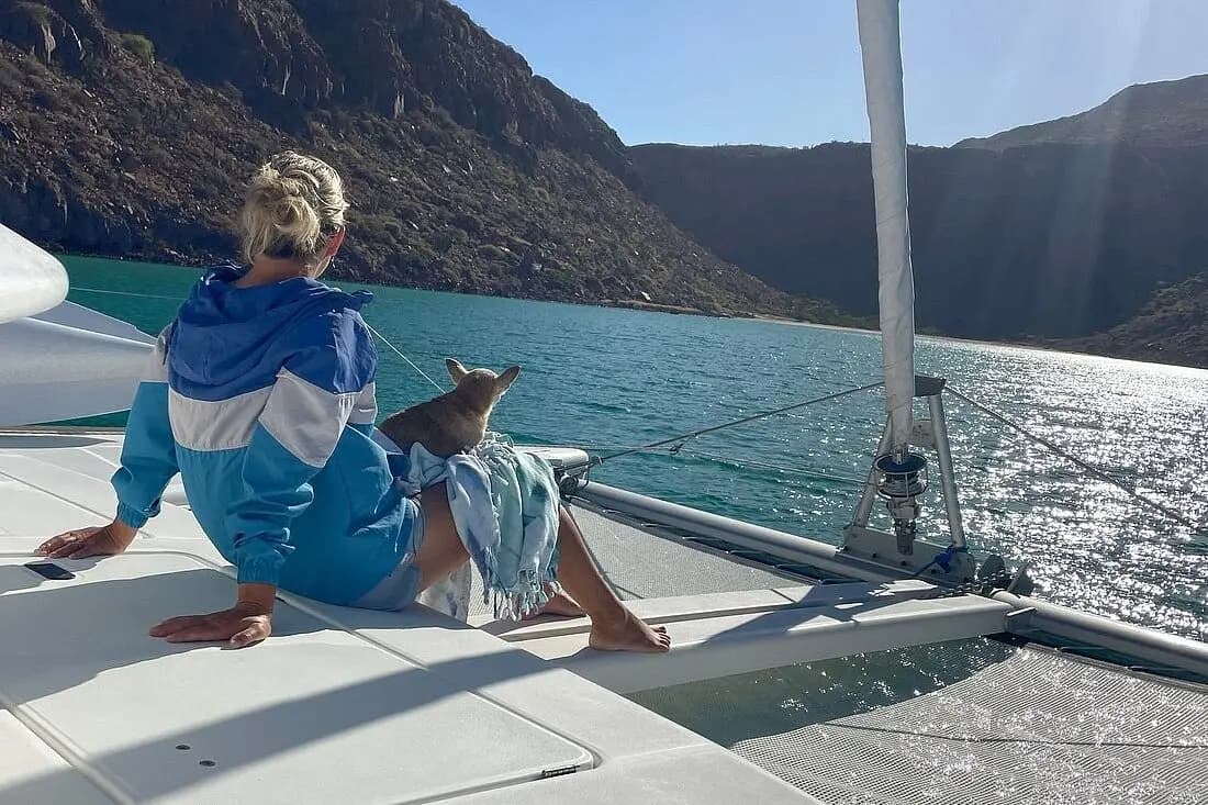 Free Time to Swim & Relax, then Return - Snorkel, swim, or relax onboard, then sail back to La Paz