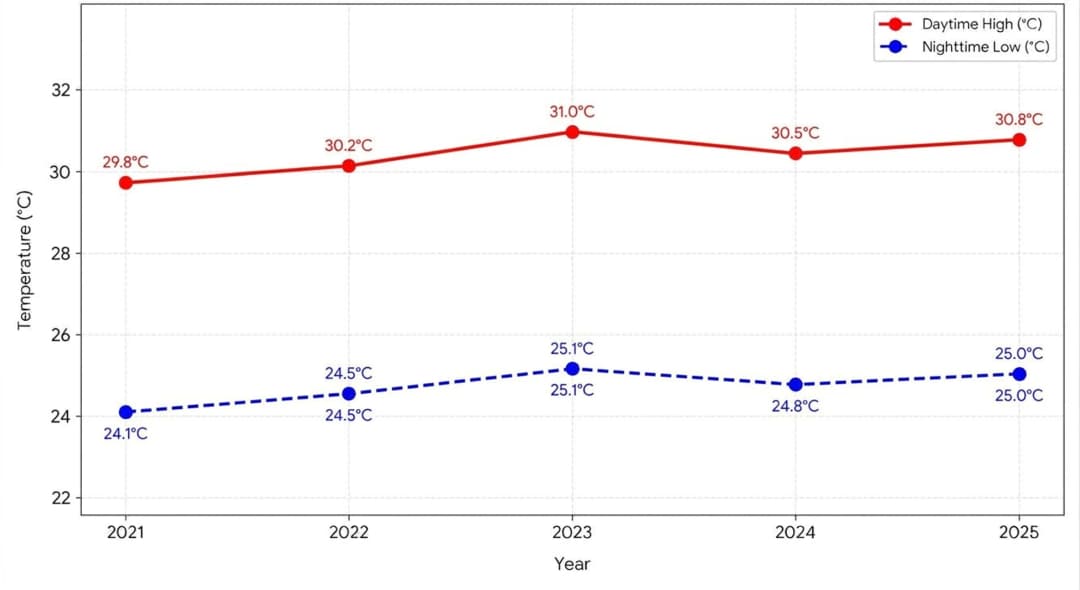 Line graph showing October temperature trends in Cozumel from 2021 to 2025