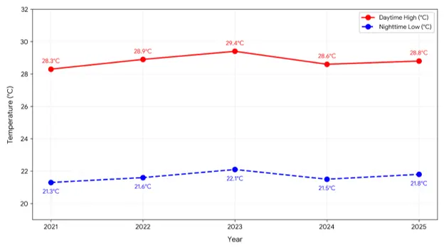 Line graph showing Belize's December temperature trends from 2021 to 2025,