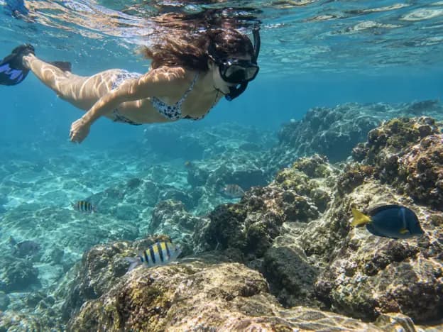 Woman snorkeling underwater above a rocky reef in La Paz Mexico with tropical fish swimming through clear blue water.