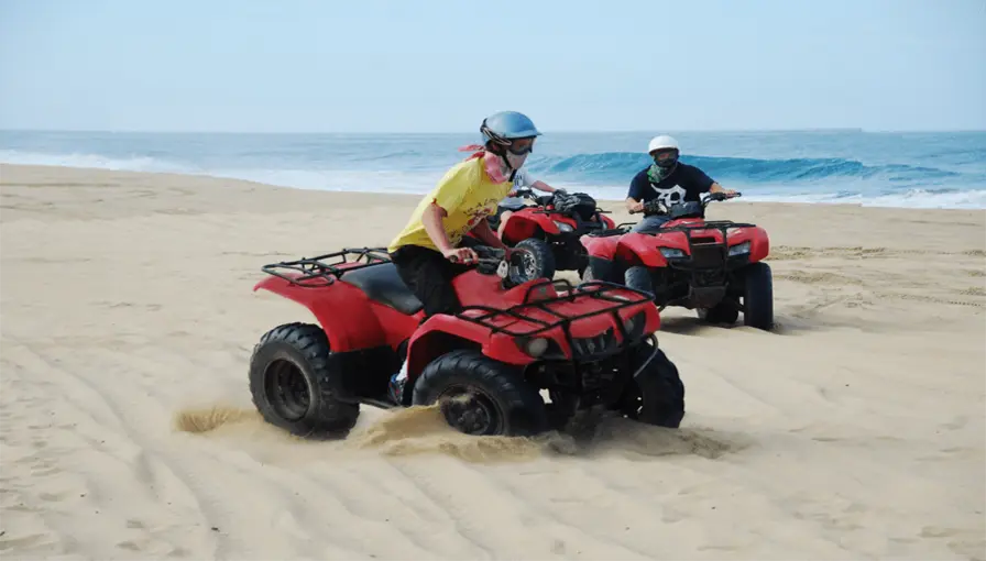 Other Activities