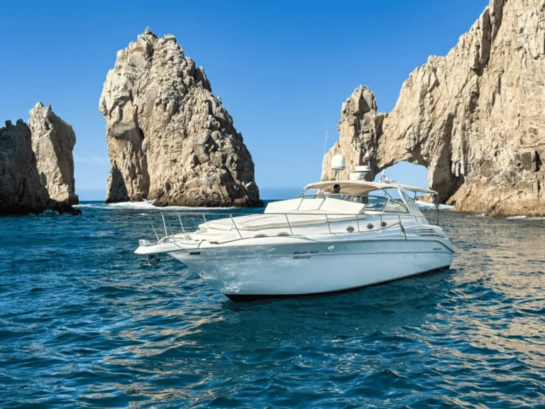 Best Cabo San Lucas Excursions