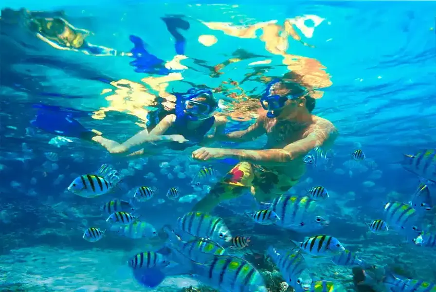 2. Snorkeling and Diving in the Sea of Cortez
